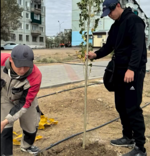 В Балхаше во время субботника посадили 500 тополей