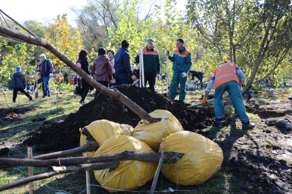 В Алматы начнется осенняя посадка зеленых насаждений: планируется высадить 282 тысячи саженцев