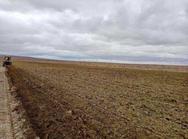 К 2030 году Казахстан полностью обеспечит аграриев удобрениями отечественного производства