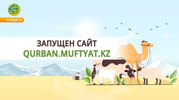 ddbf14e4151b1a2cf67e09541a799c78