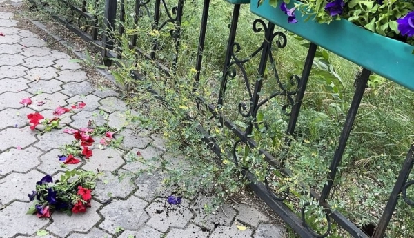 В Караганде неизвестные массово уничтожают высаженные цветы